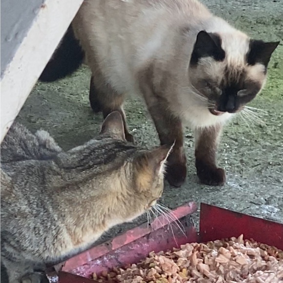 💕TRADE💕 - Picture 8 of 13